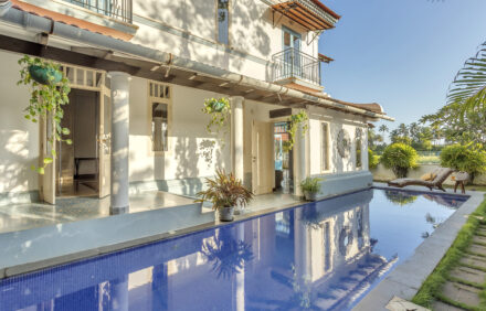 Serene Paddyview